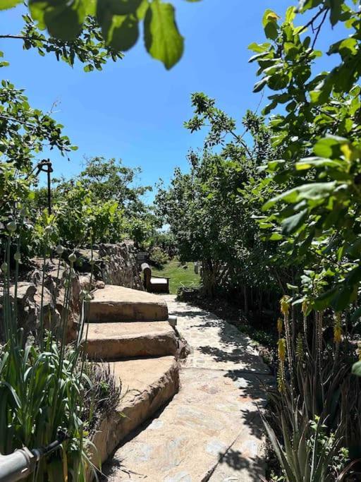 Lilly'S Finca - Romantischter Rueckzugsort - Pool วิลาฟลอร์ ภายนอก รูปภาพ